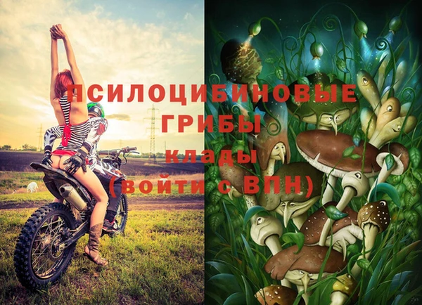 прущие грибы Киренск