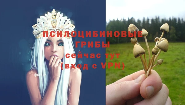 каннабис Карпинск