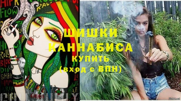 прущие грибы Киренск