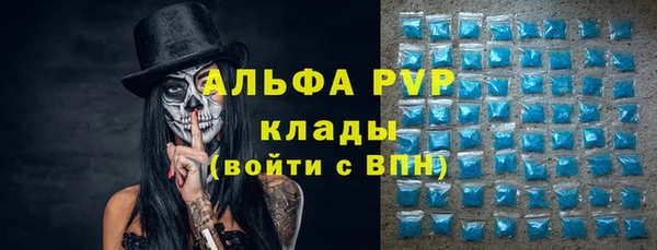 прущие грибы Киренск